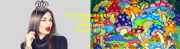 спиды Аркадак