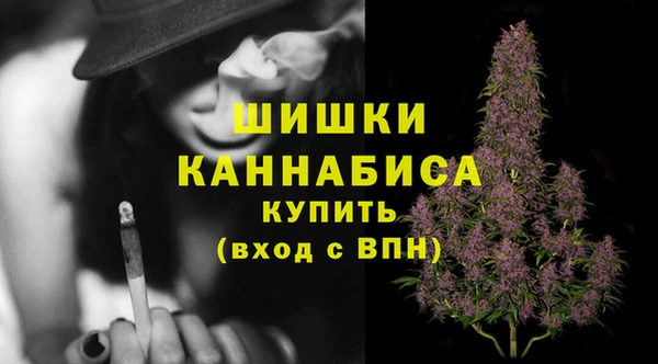 дживик Видное