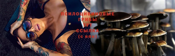а пвп мука Армянск