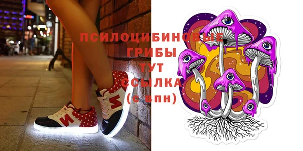 спиды Аркадак