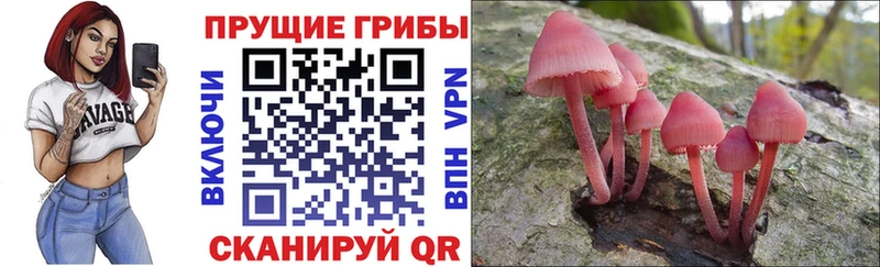 Галлюциногенные грибы Magic Shrooms  Кувшиново 